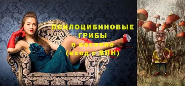 прущая мука Михайлов