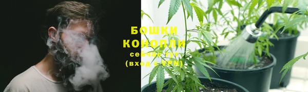 прущая мука Михайлов