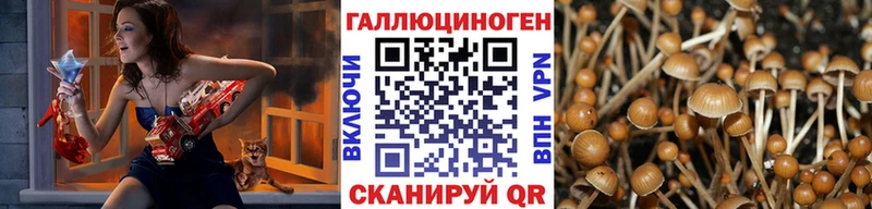 Псилоцибиновые грибы GOLDEN TEACHER  Купить закладки  Усть-Илимск 
