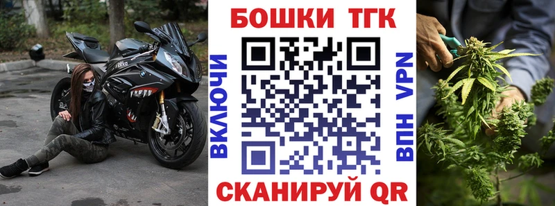Купить закладки  Усть-Илимск  Бошки марихуана THC 21% 